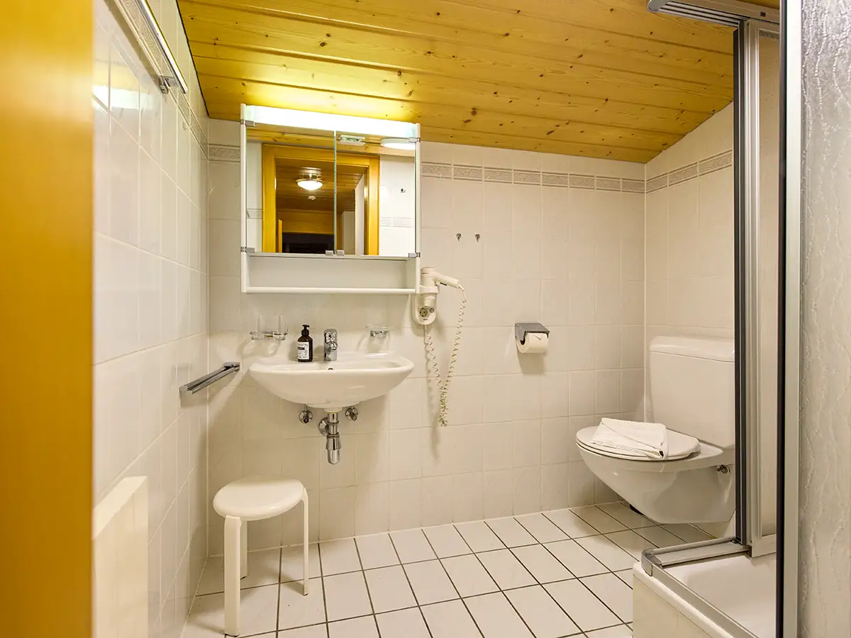 Helles Badezimmer mit Waschtisch, Spiegel und WC im Apartment HEAVEN im Chalet H